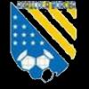 FCAgricolaBorcea