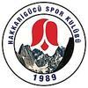 Nik Omladič